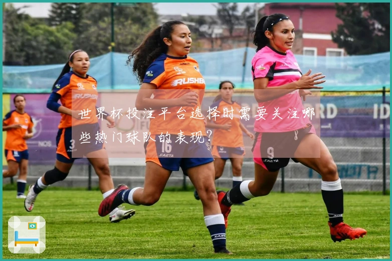 世界杯投注平台选择时需要关注哪些热门球队的表现？
