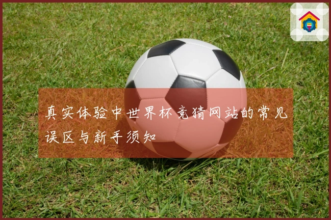 真实体验中世界杯竞猜网站的常见误区与新手须知