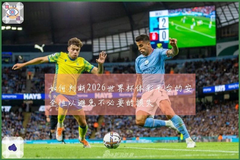 如何判断2026世界杯体彩平台的安全性以避免不必要的损失