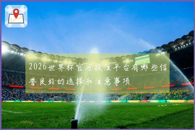 2026世界杯官方投注平台有哪些信誉良好的选择和注意事项