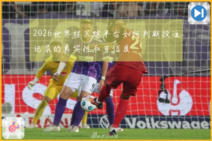 2026世界杯买球平台如何判断投注记录的真实性和可信度