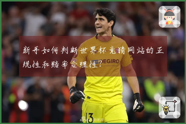 新手如何判断世界杯竞猜网站的正规性和赔率合理性？