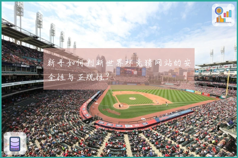 新手如何判断世界杯竞猜网站的安全性与正规性？