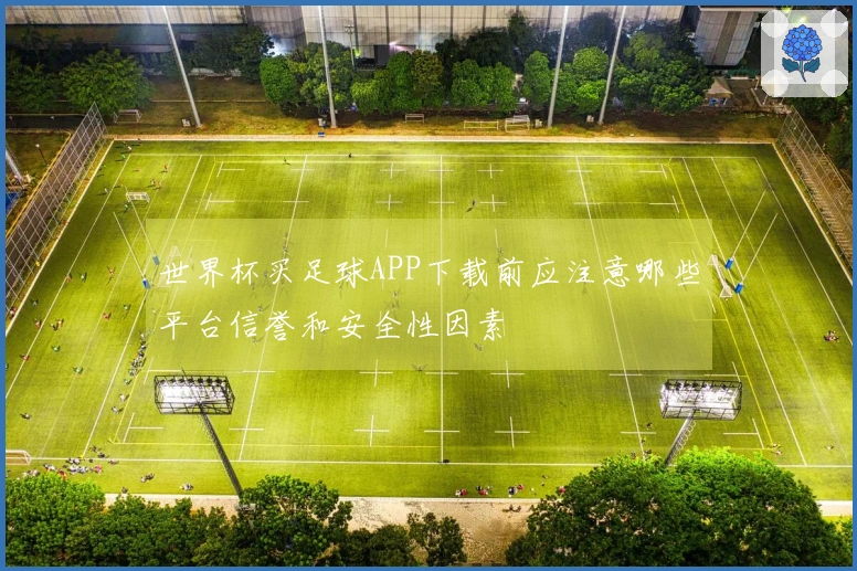 世界杯买足球APP下载前应注意哪些平台信誉和安全性因素