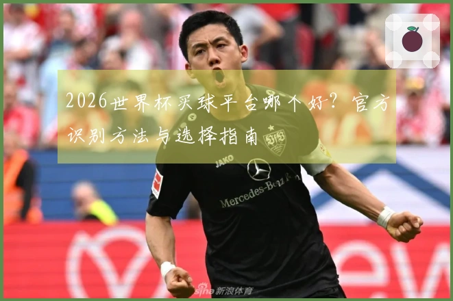 2026世界杯买球平台哪个好？官方识别方法与选择指南
