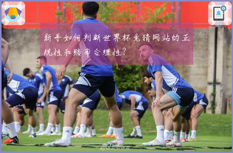 新手如何判断世界杯竞猜网站的正规性和赔率合理性？