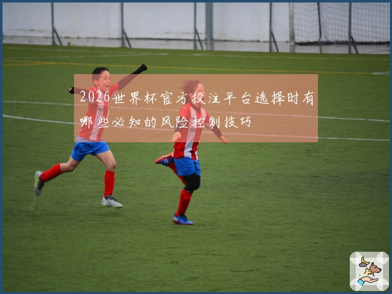 2026世界杯官方投注平台选择时有哪些必知的风险控制技巧