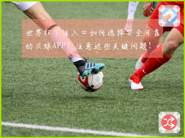 世界杯下注入口如何选择安全可靠的买球APP？注意这些关键问题！