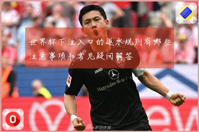 世界杯下注入口的返水规则有哪些注意事项和常见疑问解答