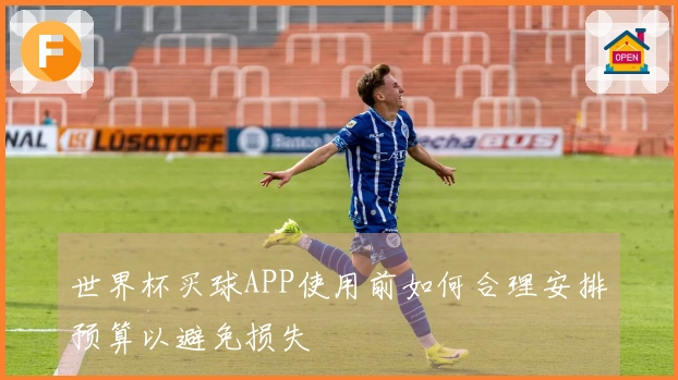 世界杯买球APP使用前如何合理安排预算以避免损失