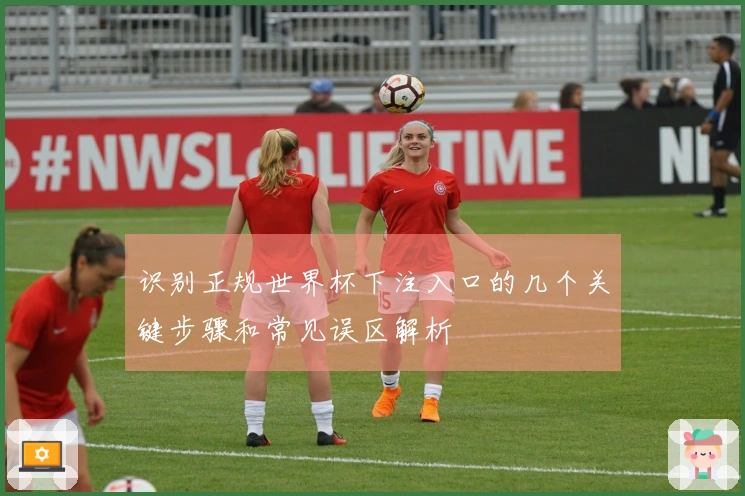 识别正规世界杯下注入口的几个关键步骤和常见误区解析