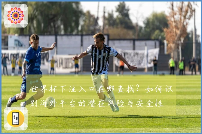 世界杯下注入口在哪查找？如何识别海外平台的潜在风险与安全性