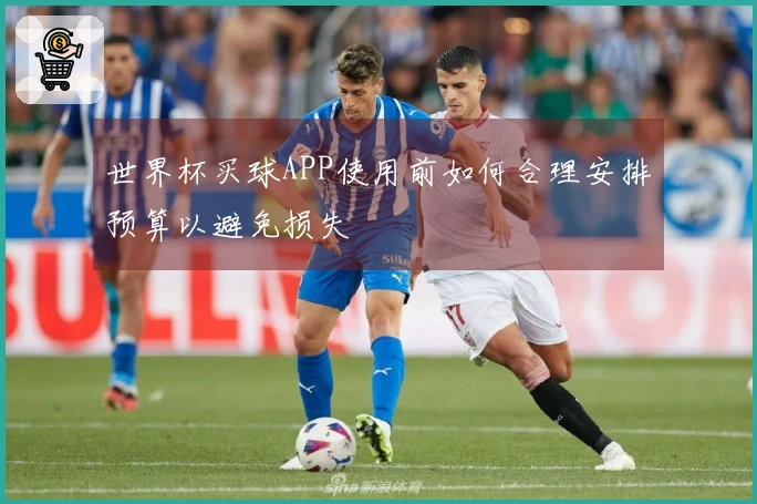 世界杯买球APP使用前如何合理安排预算以避免损失
