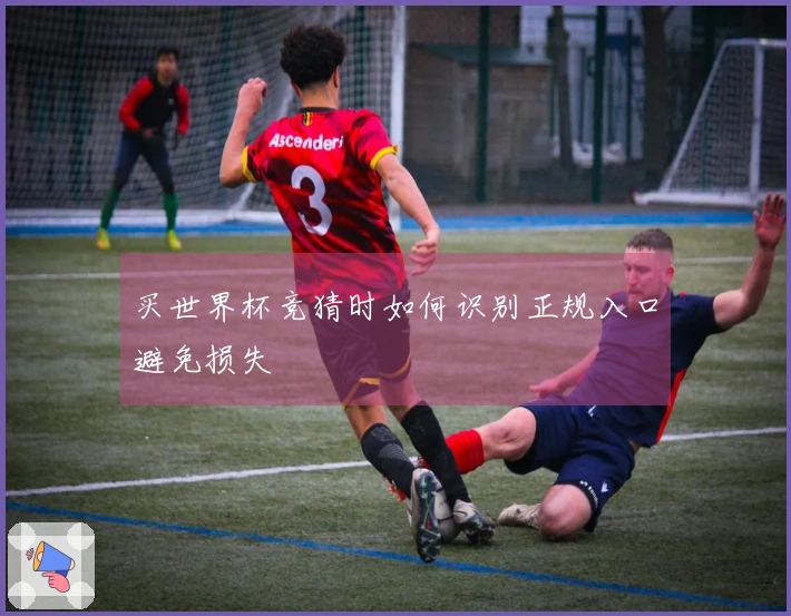 买世界杯竞猜时如何识别正规入口避免损失
