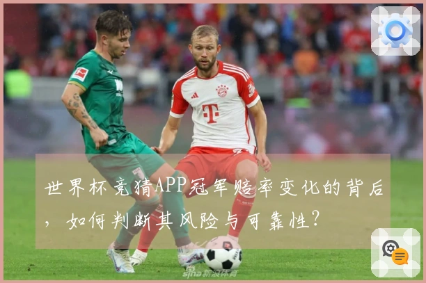 世界杯竞猜APP冠军赔率变化的背后，如何判断其风险与可靠性？