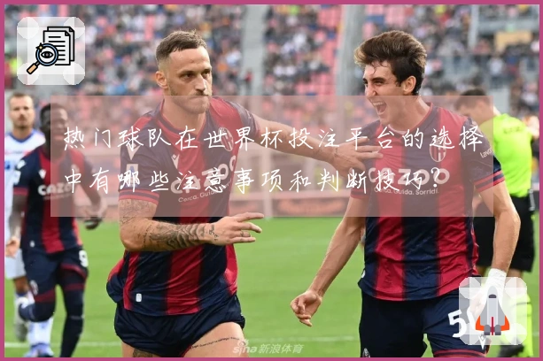 热门球队在世界杯投注平台的选择中有哪些注意事项和判断技巧？