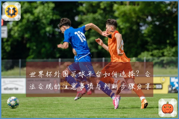 世界杯外围买球平台如何选择？合法合规的注意事项与判断步骤分享