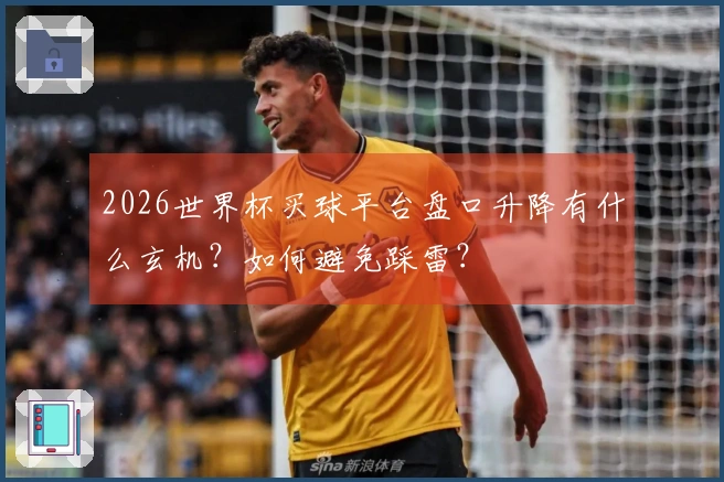 2026世界杯买球平台盘口升降有什么玄机？如何避免踩雷？