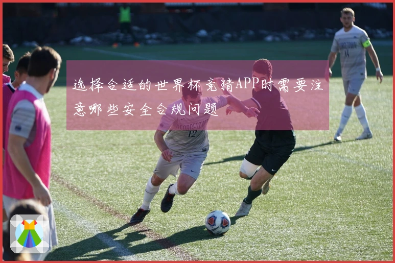 选择合适的世界杯竞猜APP时需要注意哪些安全合规问题