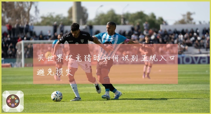 买世界杯竞猜时如何识别正规入口避免损失
